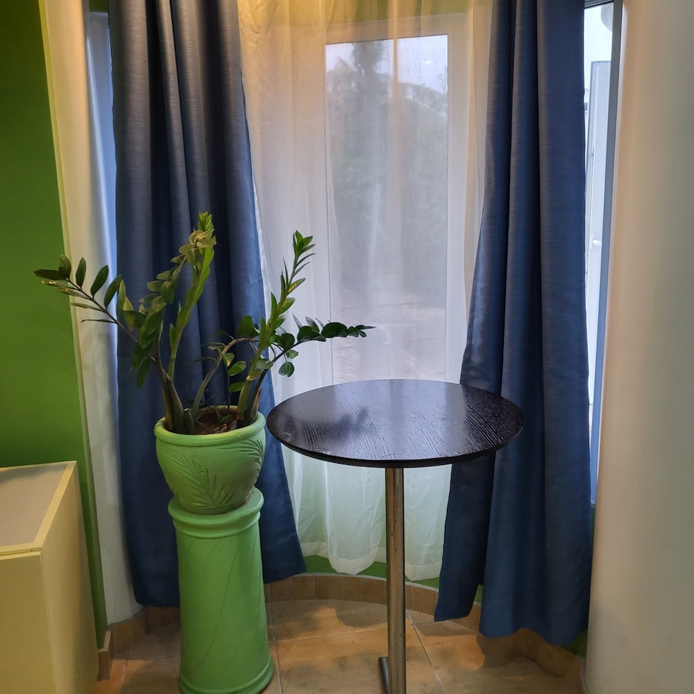 GREEN BAMBOO photo 3