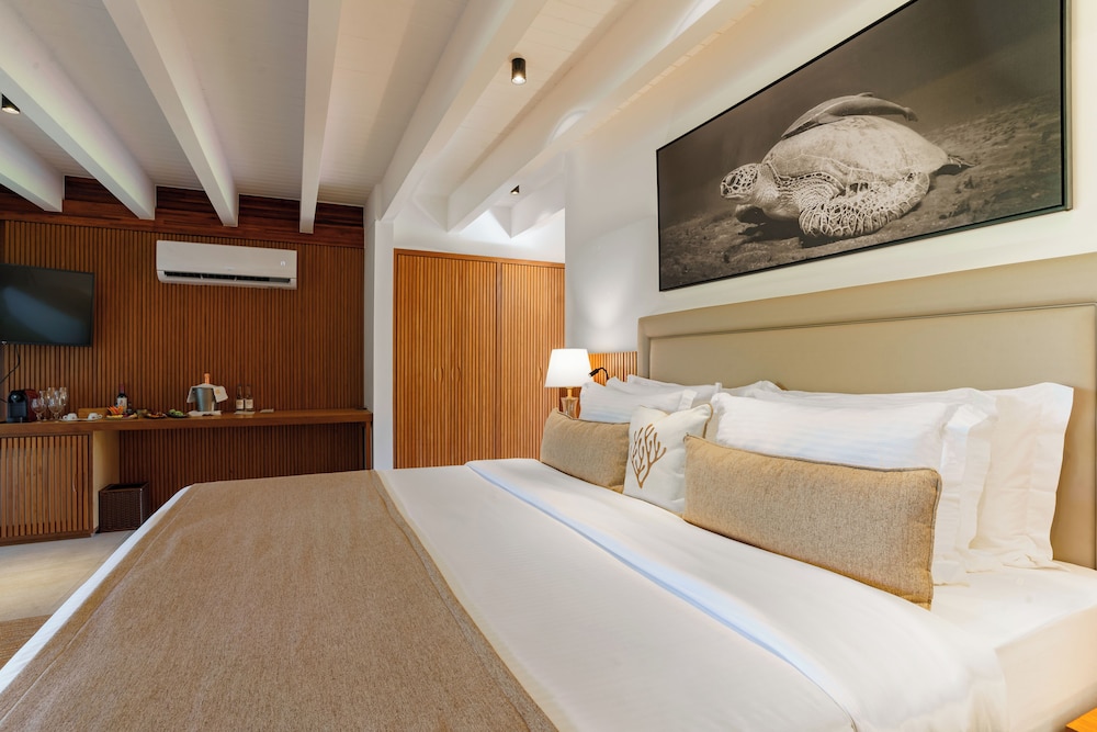 Classic Suite, Garden View, Ground Floor - Photo 1
