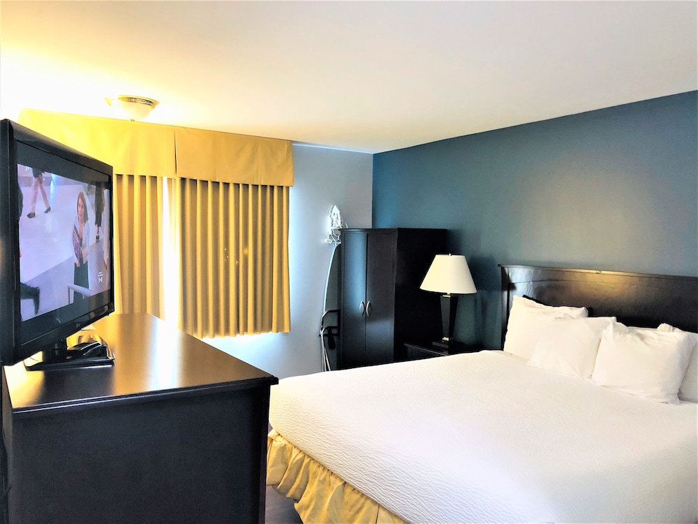 Standard Single Room, 1 King Bed, Non Smoking photo 1
