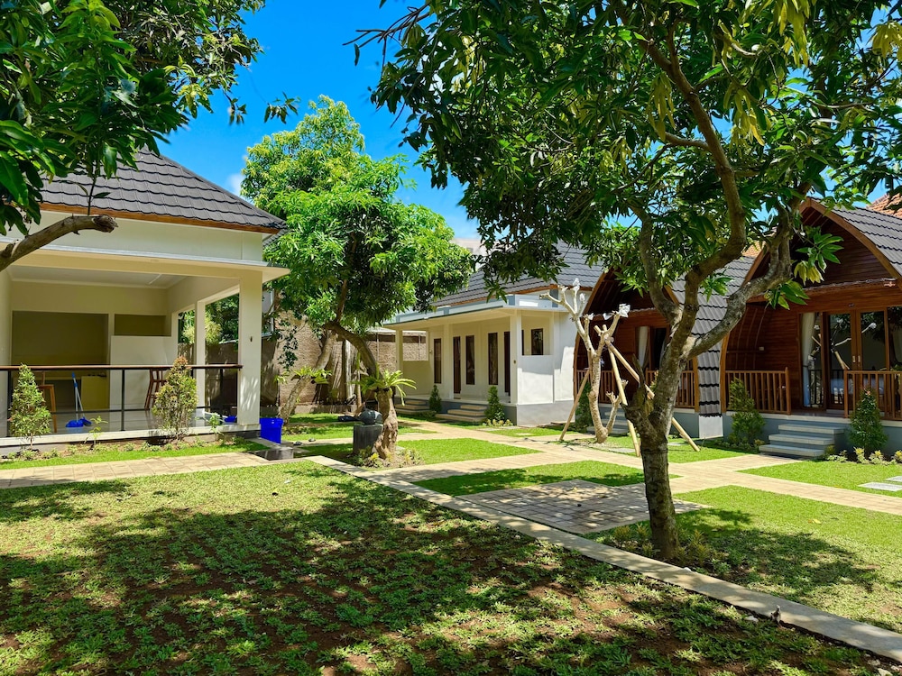 Comfort Shared Dormitory photo 3