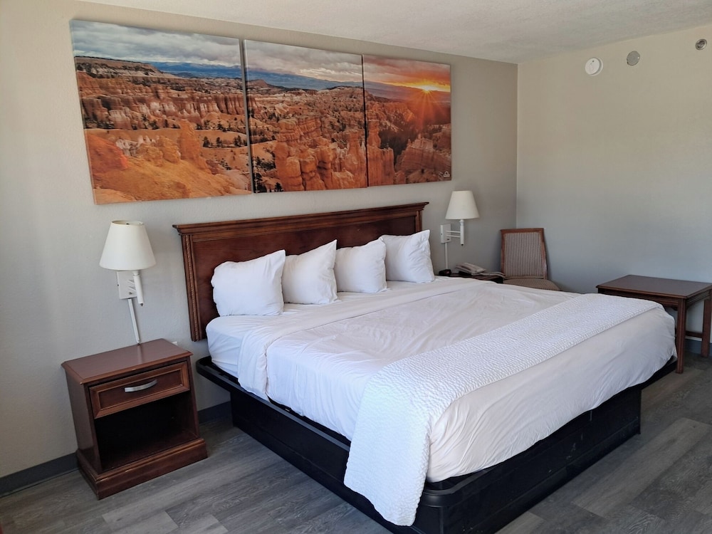 Room, 1 King Bed, Mobility Accessible, Non Smoking (Roll-In Shower) photo 1