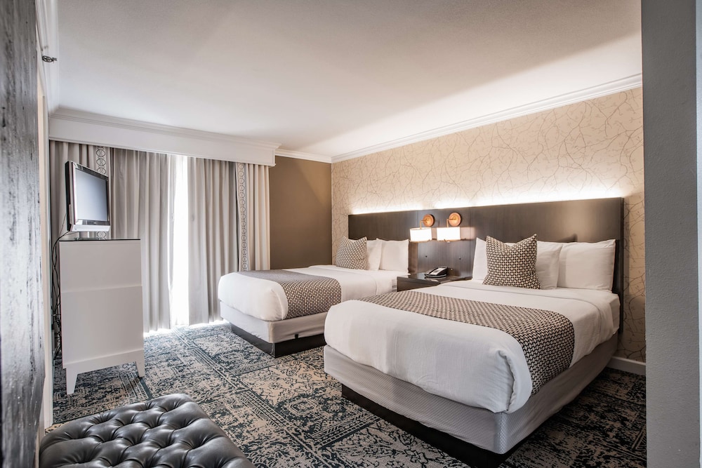 Studio Suite, 2 Double Beds - Photo 1