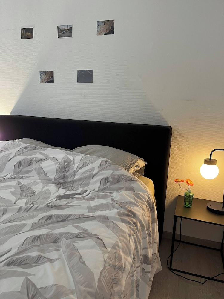Big Beautiful Appartement in Center of Antwerpen, Bilde 2