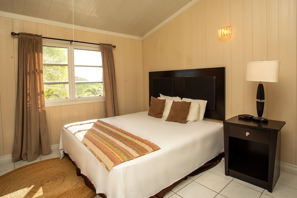 Deluxe Suite, 1 King Bed, Pool Access, Ocean View photo 3