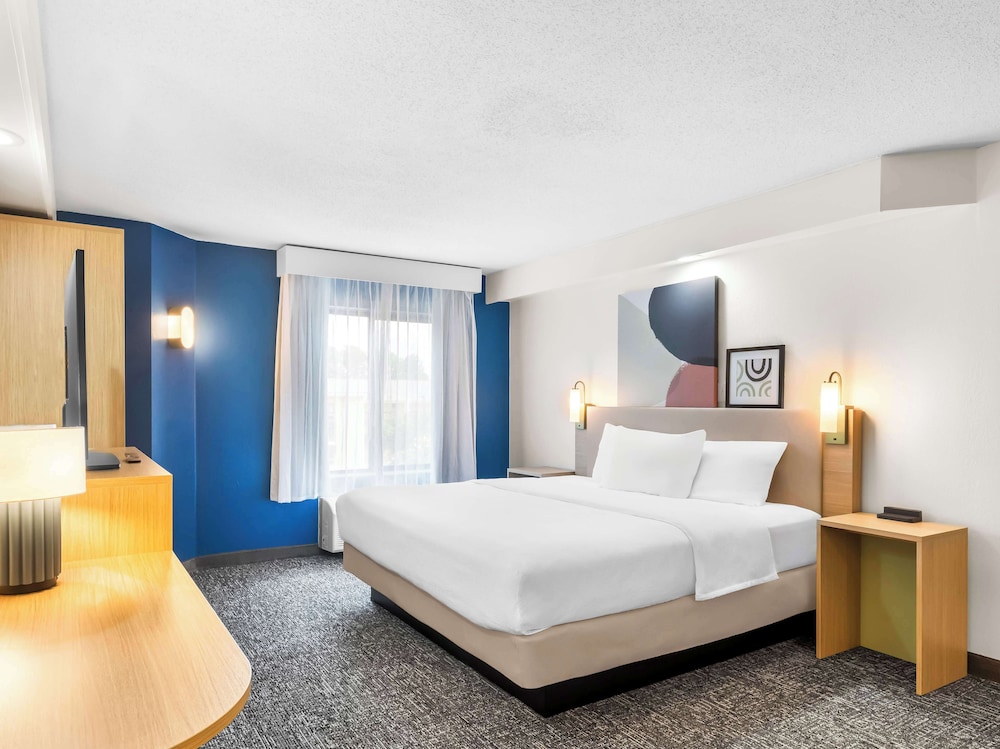 Room, 1 King Bed, Accessible (Mobility & Hearing, Roll-in Shower) - Photo 9