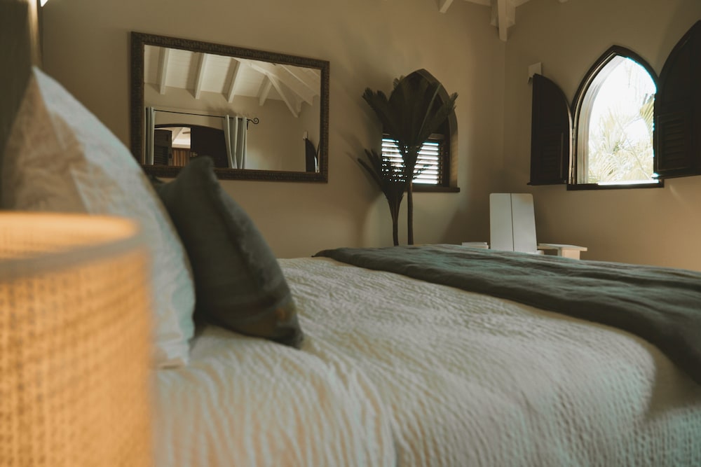 Premium Suite photo 1