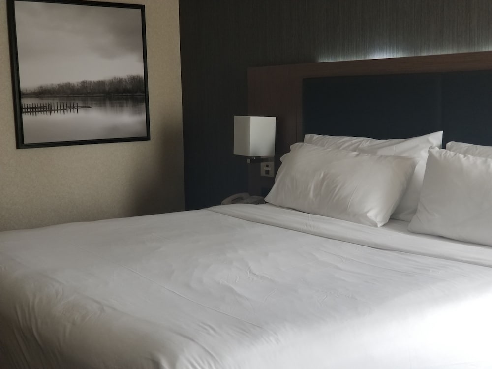 Standard Room, 1 King Bed with Sofa bed, Balcony - Photo 3