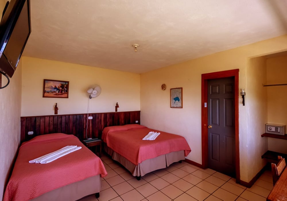 Superior Double Room photo 2