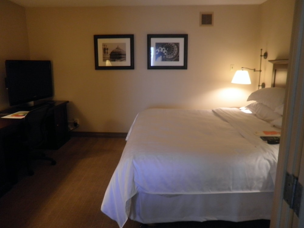Traditional Room, 1 King Bed (Mobility Accessible, Roll-In Shower) - Photo 2