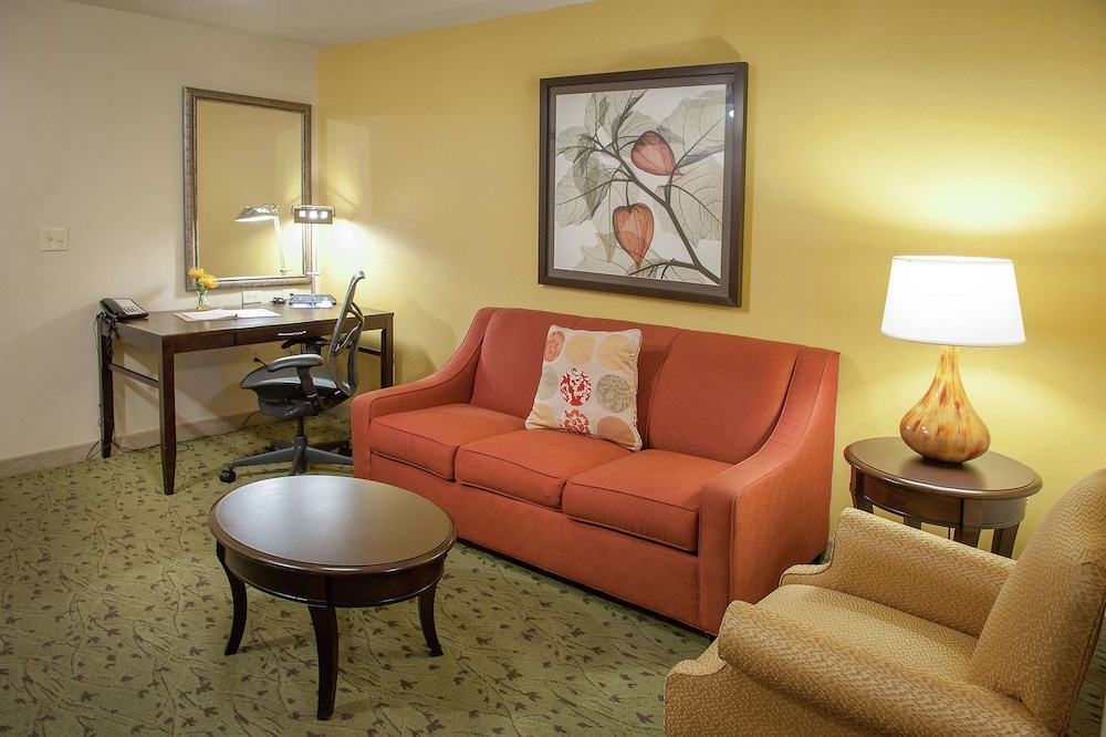 King evolution jr suite photo 1