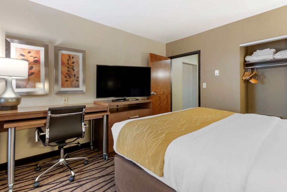 Suite, 1 King Bed, Non Smoking - Photo 6