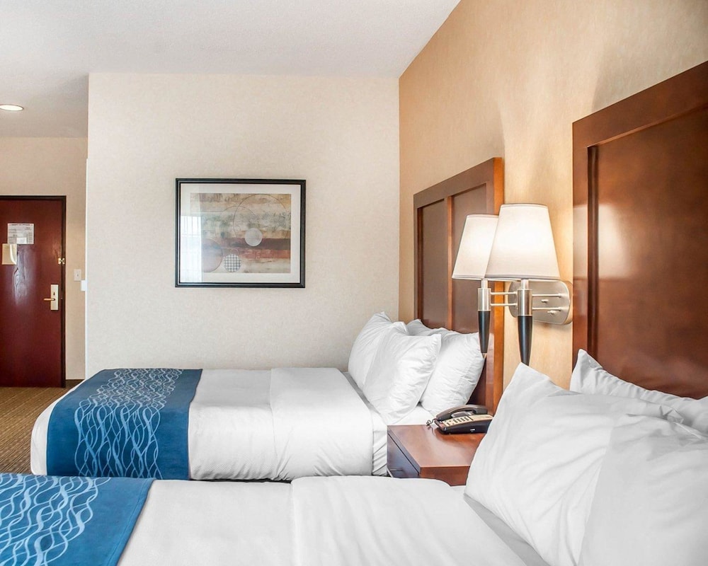Comfort Inn & Suites Hamburg - Buffalo South, Bild 3