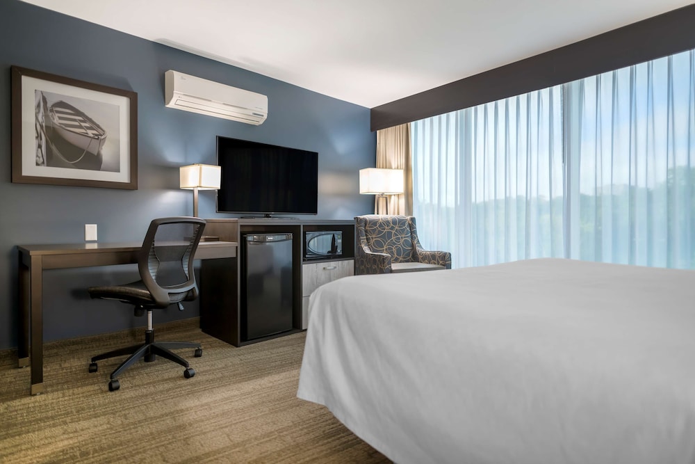 Standard Room, 1 King Bed, Refrigerator & Microwave, Lake View (Pet Friendly) - Photo 1