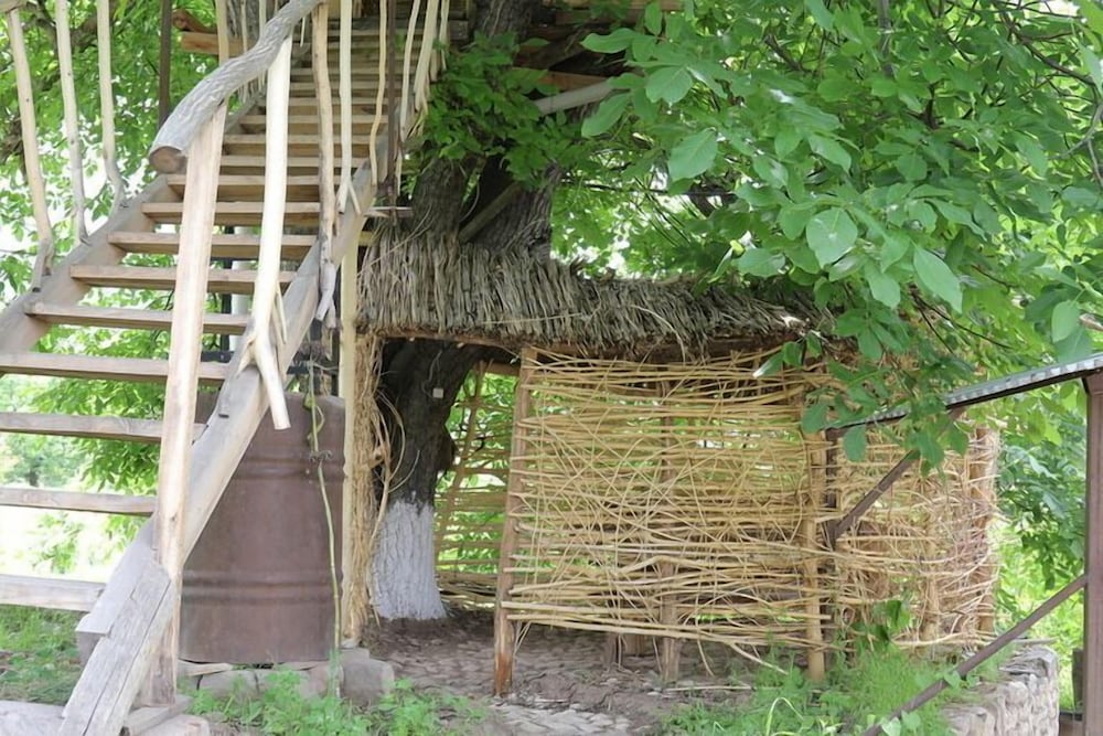 Exclusive Tree House photo 2