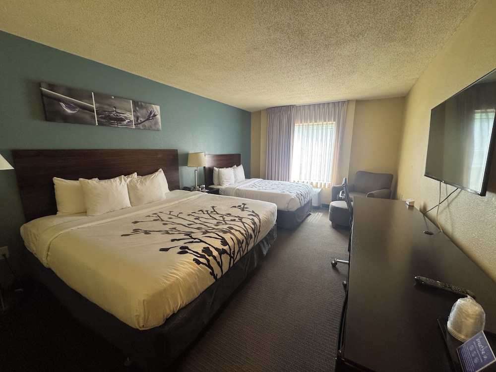 Suite, Multiple Beds, Non Smoking photo 2