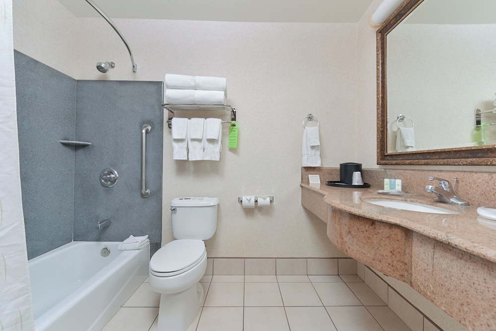 Suite, King, Recliner, Loveseat, Wetbar, Non Smoking - Photo 7
