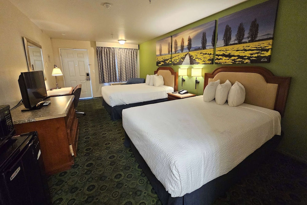 Room, Multiple Beds, Non Smoking - Photo 2