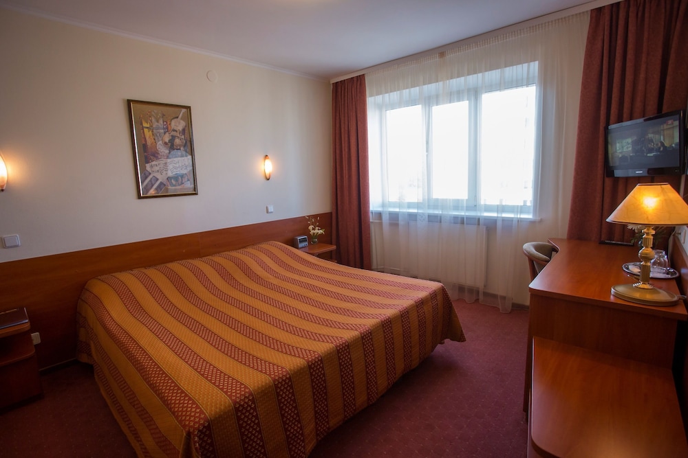 Double Room, 1 King Bed