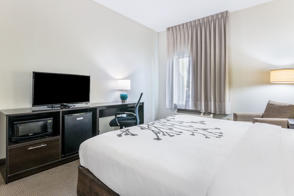 Standard Suite, 1 King Bed, Non Smoking photo 1