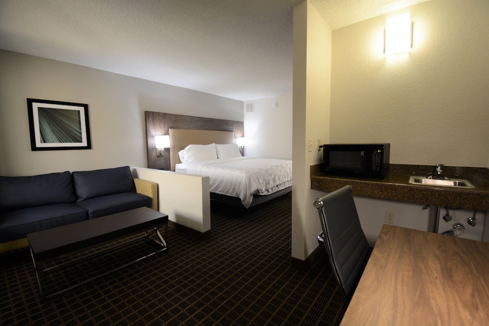 Suite, 1 King Bed - Photo 4