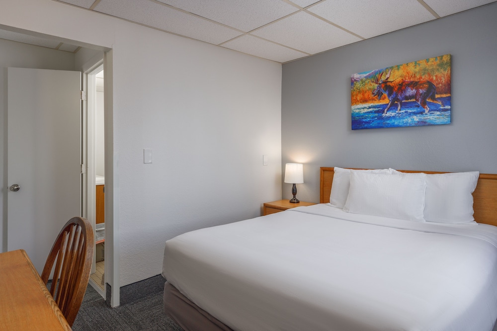 Economy Room, 1 Queen Bed photo 3