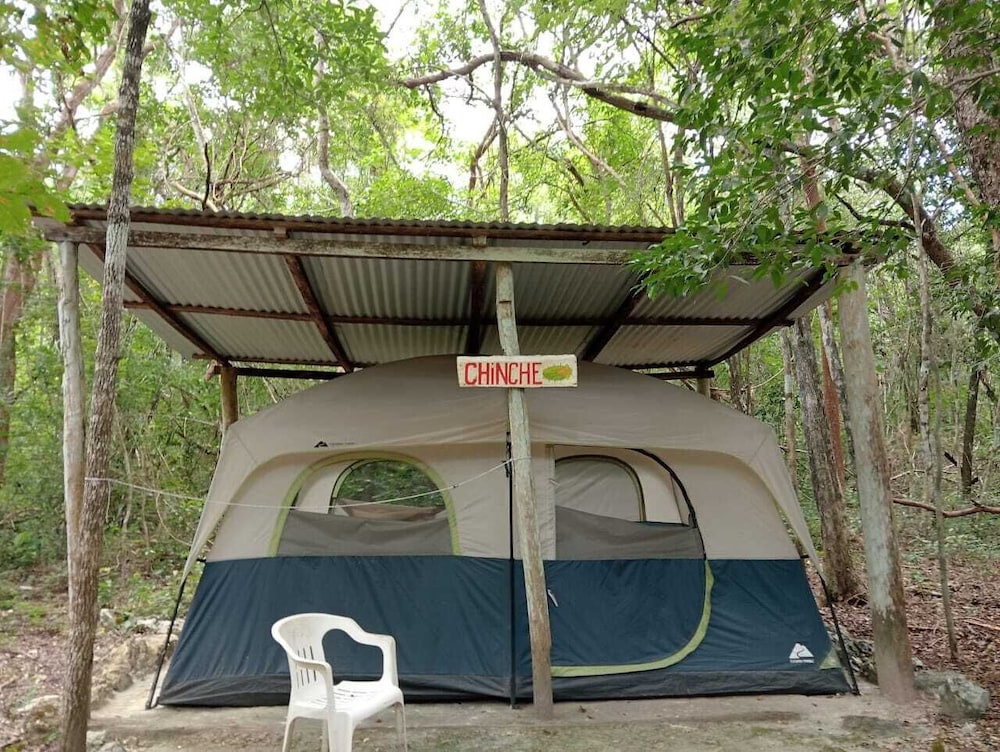 Tent, 2 Queen Beds photo 1
