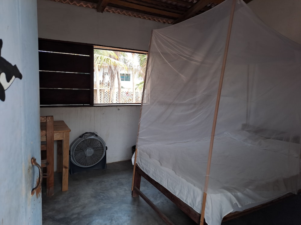 Economy Room photo 1