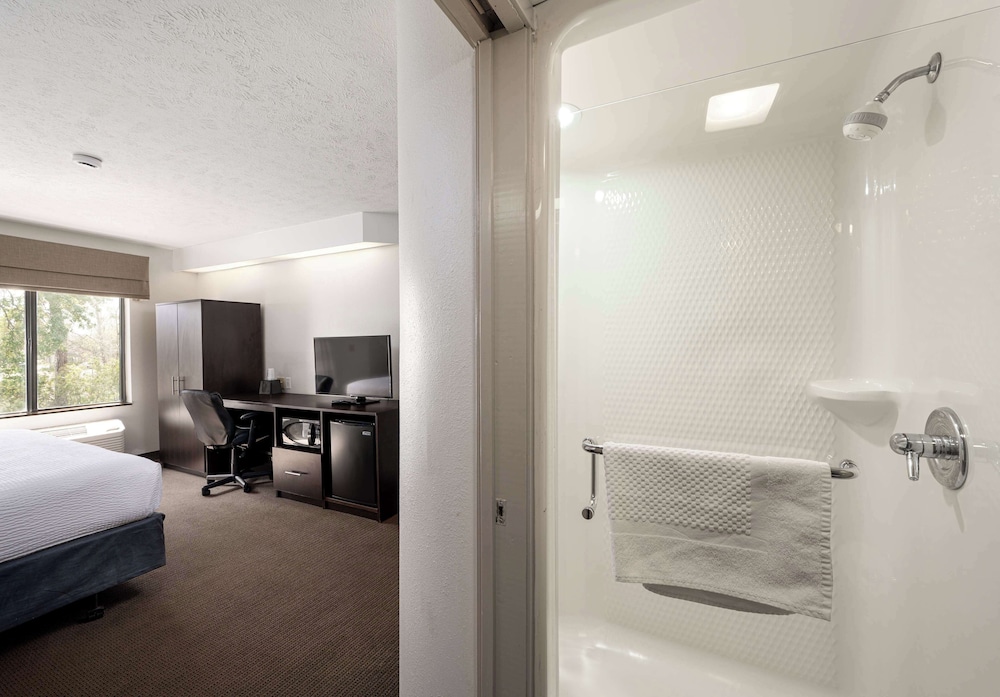 Standard Room, 1 King Bed, Non Smoking, Refrigerator & Microwave - Photo 3