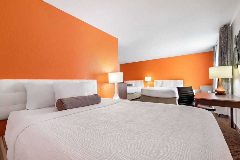 Studio Suite, Multiple Beds, Non Smoking - Photo 3