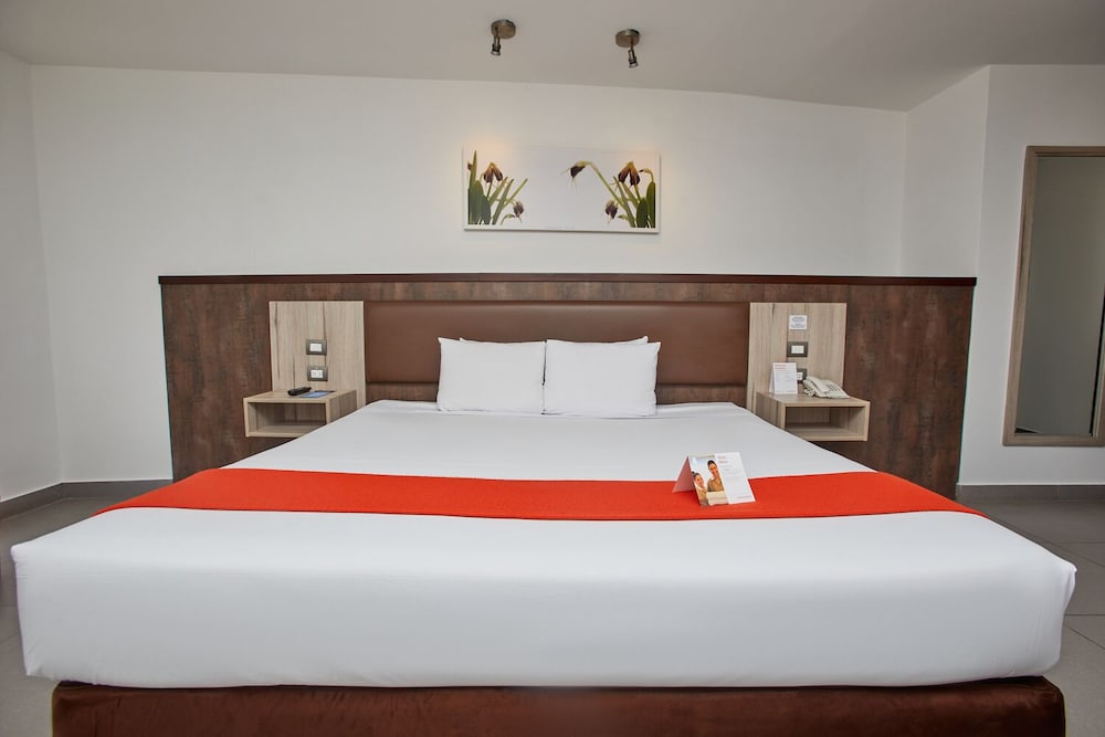 Junior Room, 1 King Bed photo 3