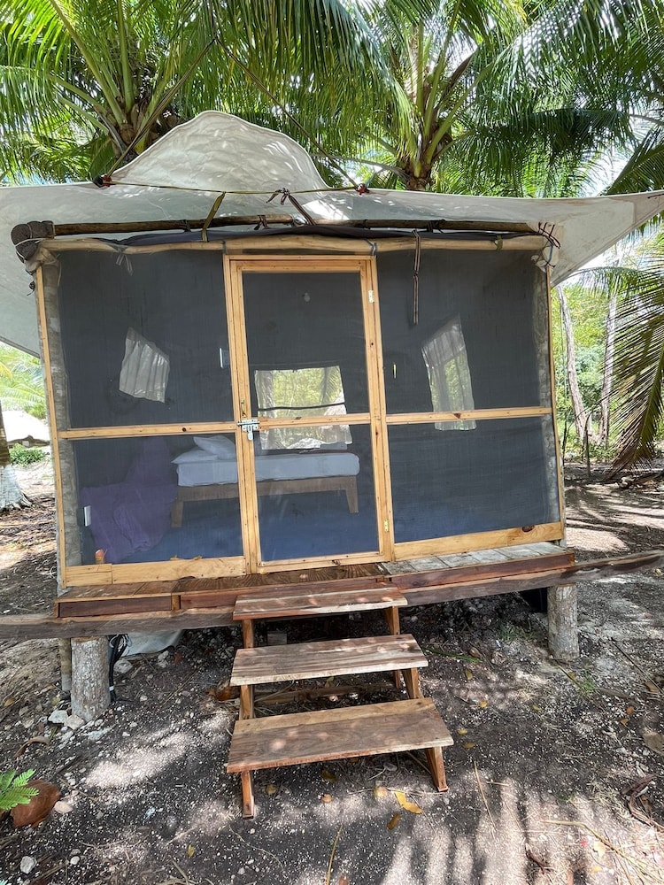 Basic Tent photo 2