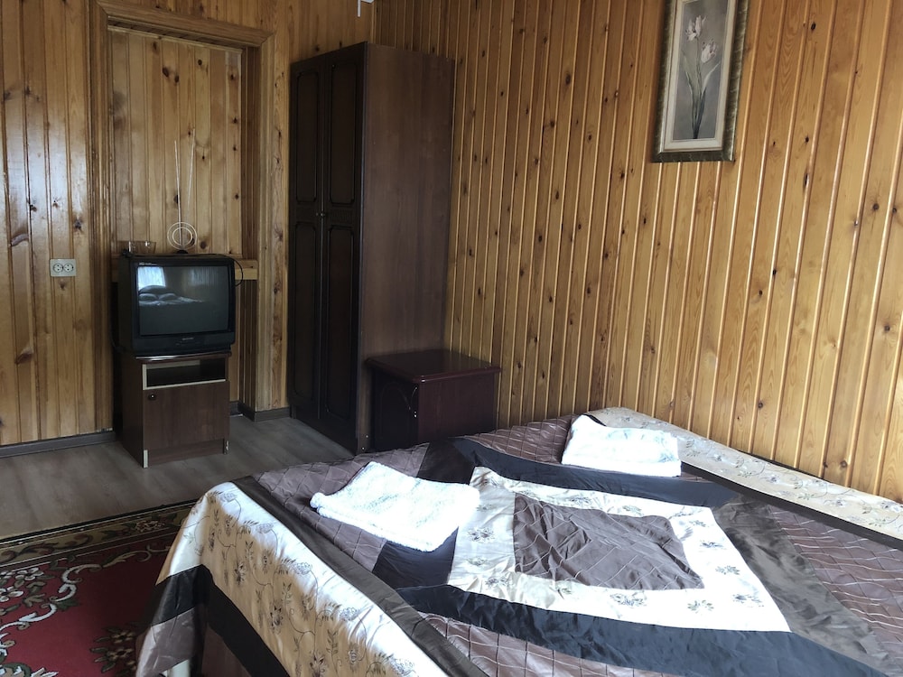 Standard Double or Twin Room photo 3
