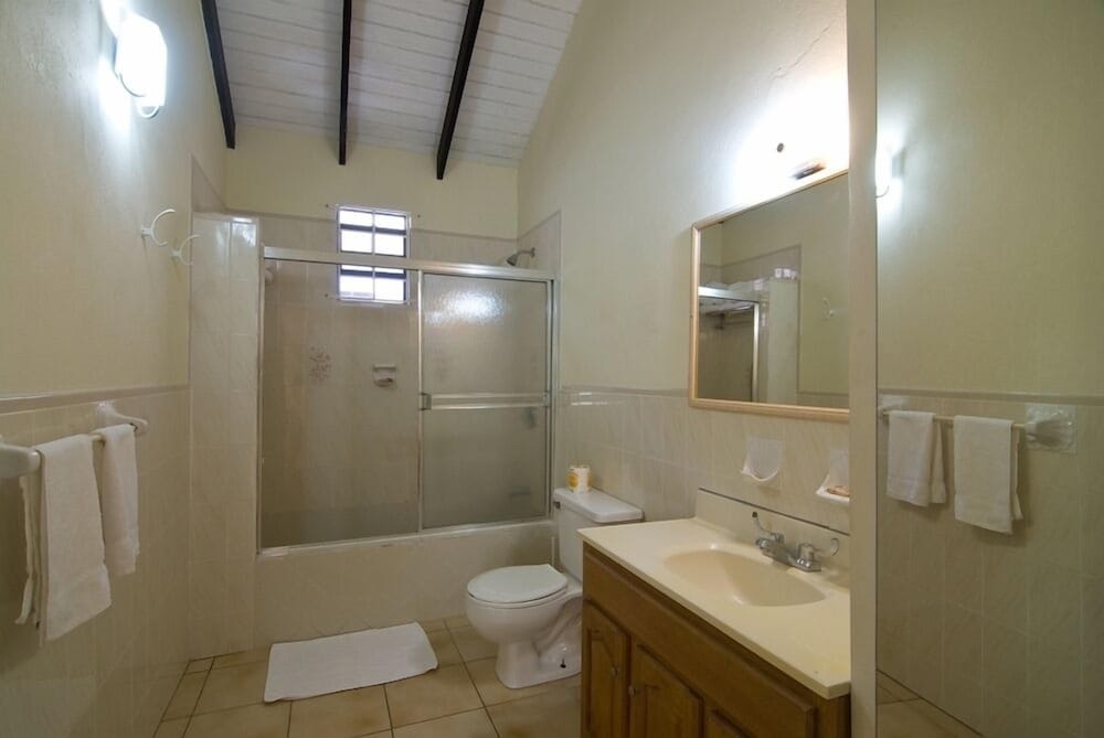 Apartment, 1 Bedroom photo 2