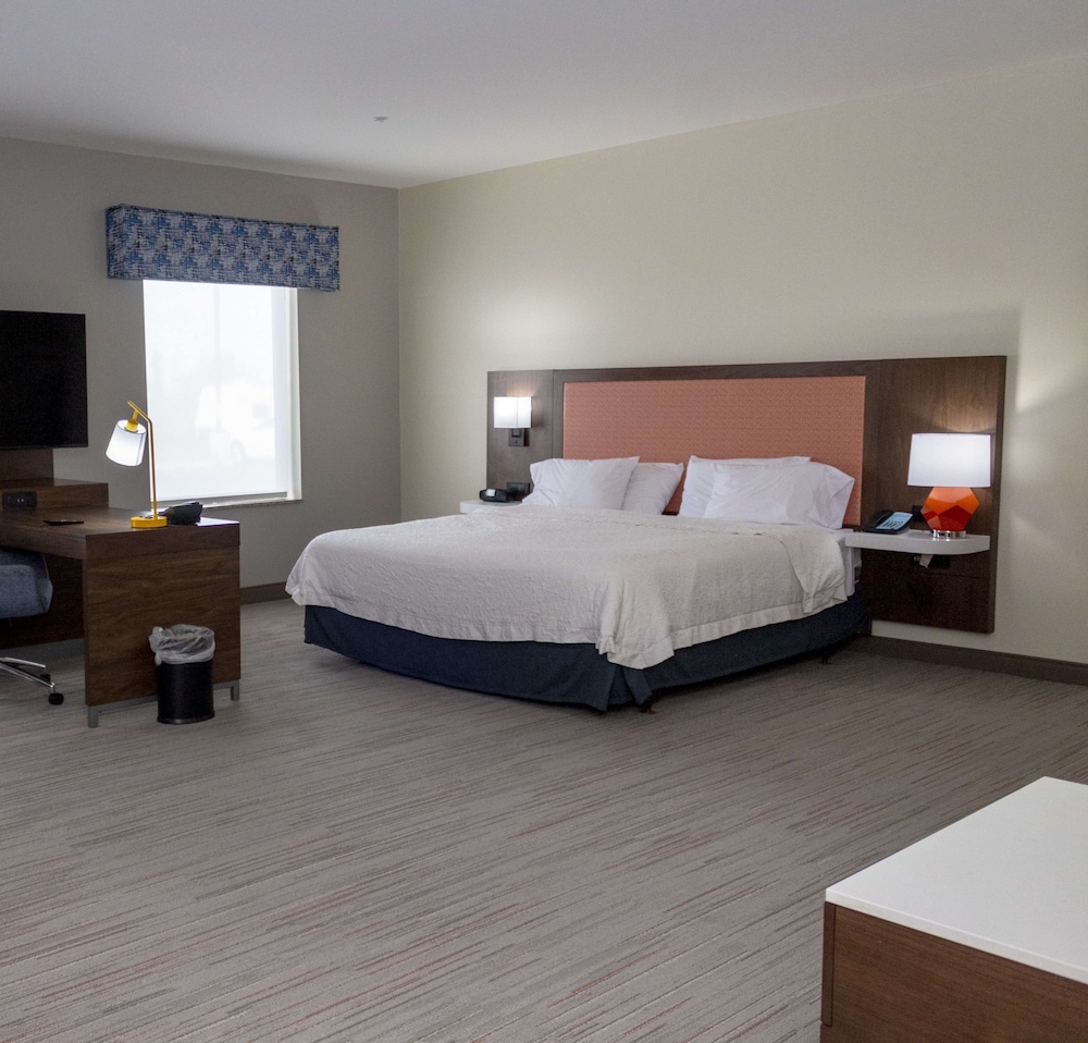 Suite, One King Bed, Accessible photo 2