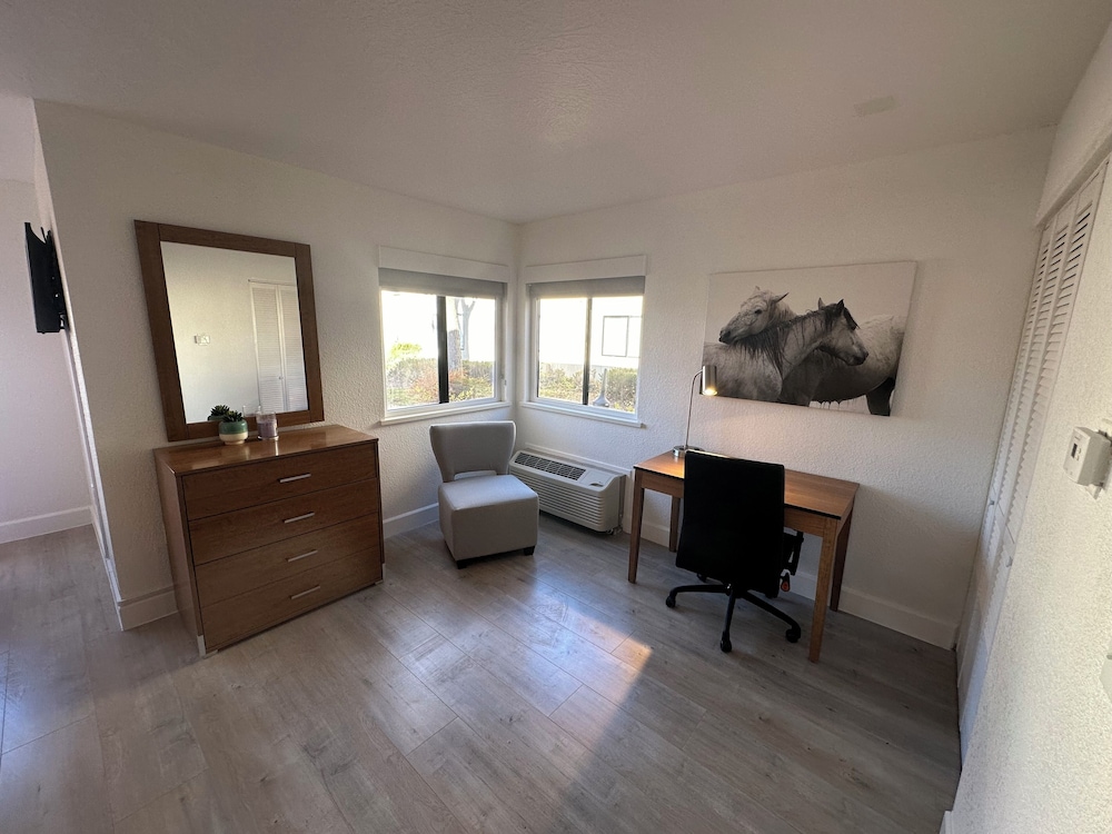 Deluxe Studio Suite, Non Smoking photo 3