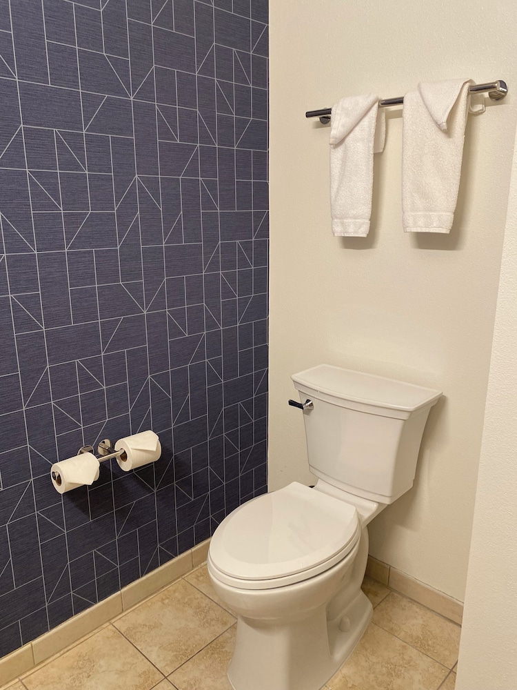 Room, 1 King Bed, Accessible (Mobility & Hearing, Roll-in Shower) photo 3