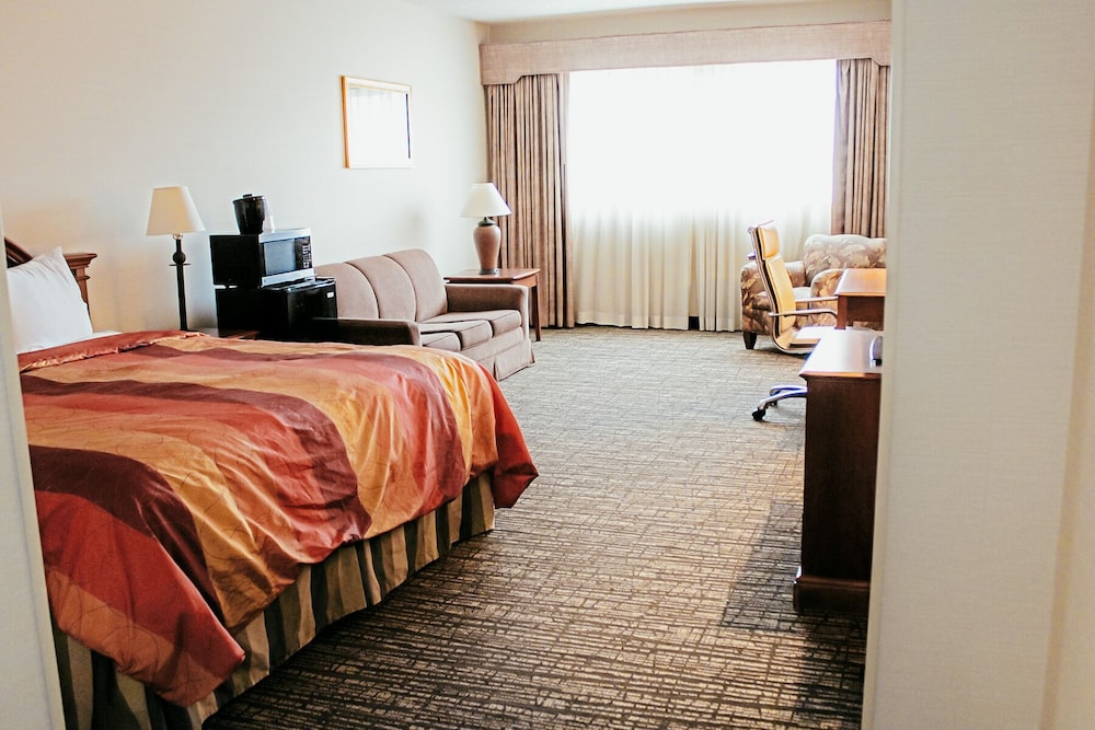 Executive Room, 1 King Bed - Photo 9