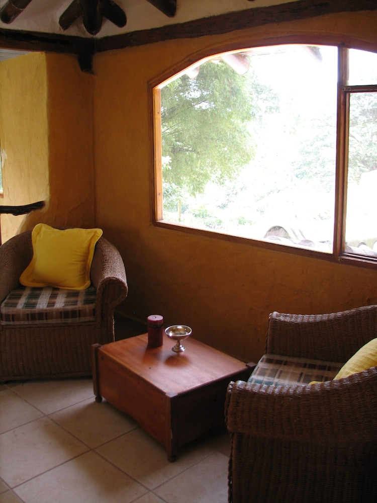 Twin Room photo 2