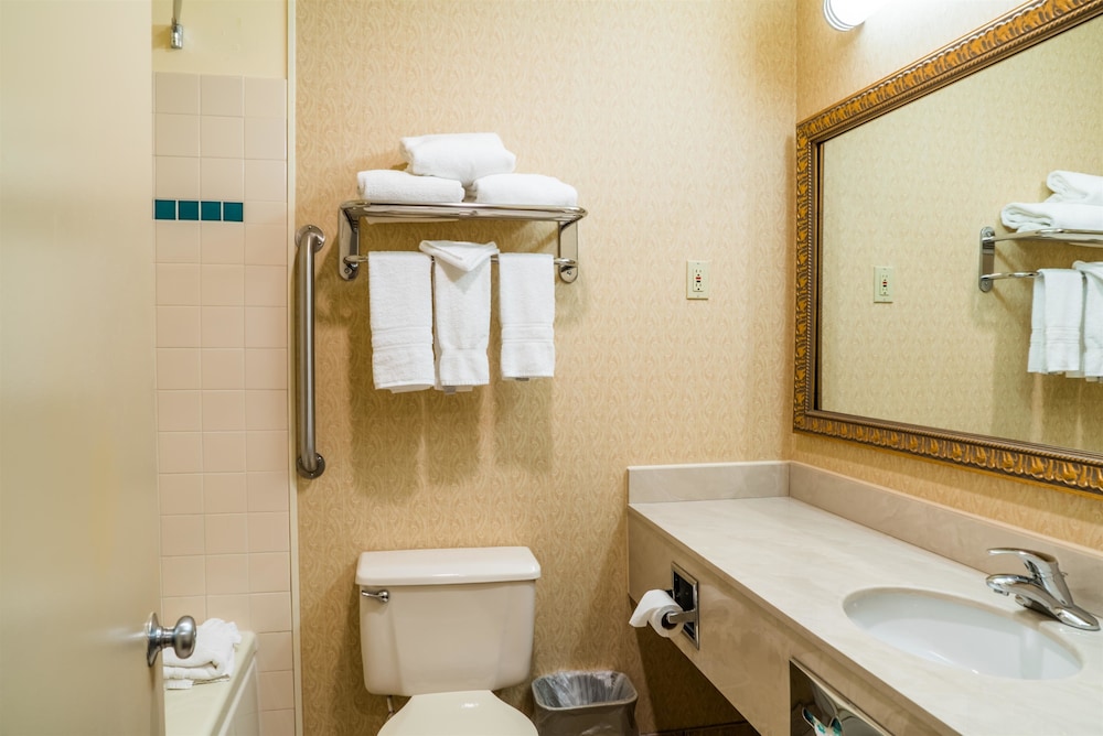 Standard Room, 1 King Bed, Non Smoking, Jetted Tub photo 2