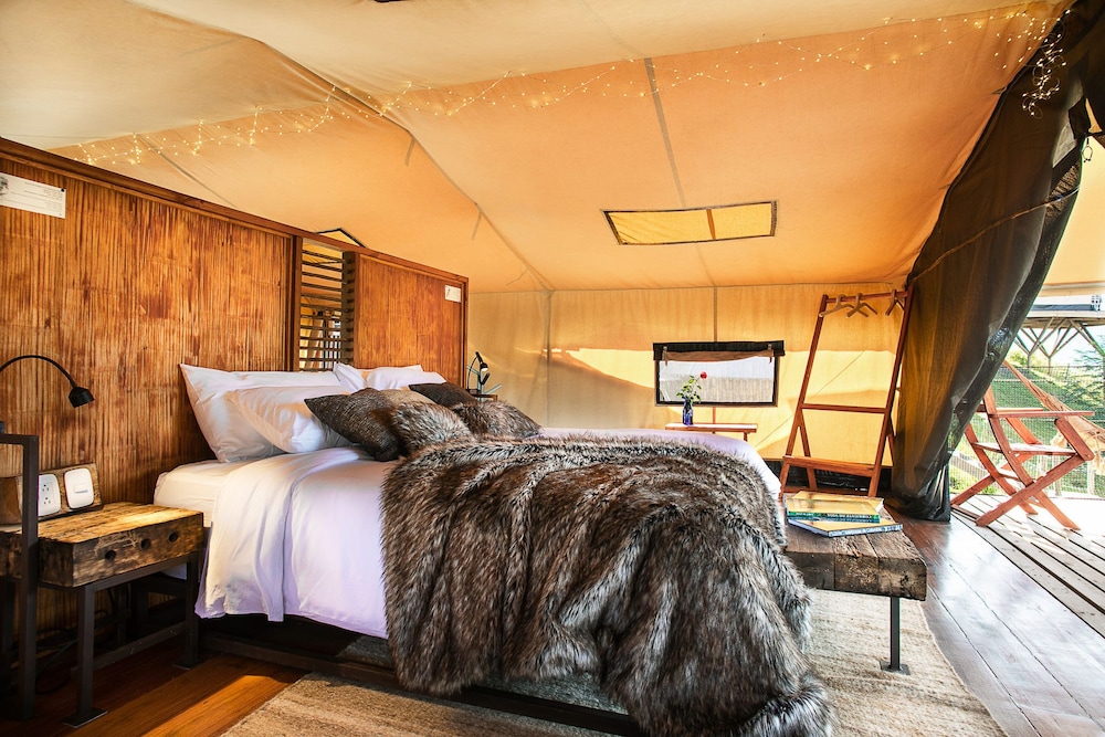 Deluxe Tent, 5 Bedrooms photo 3