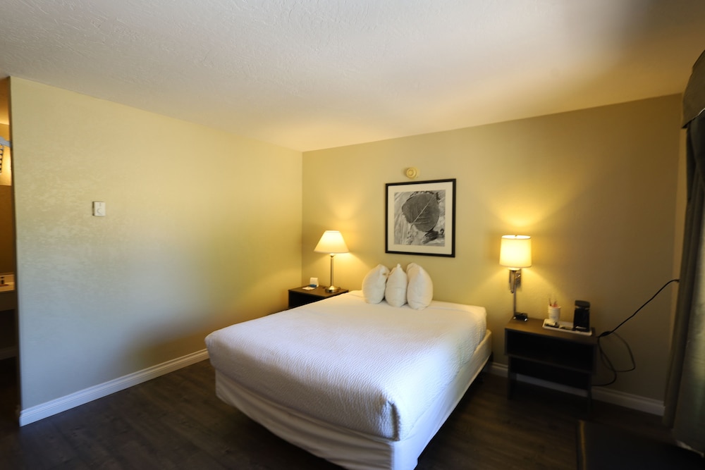 Deluxe Studio Suite, 1 Queen Bed, Non Smoking photo 2
