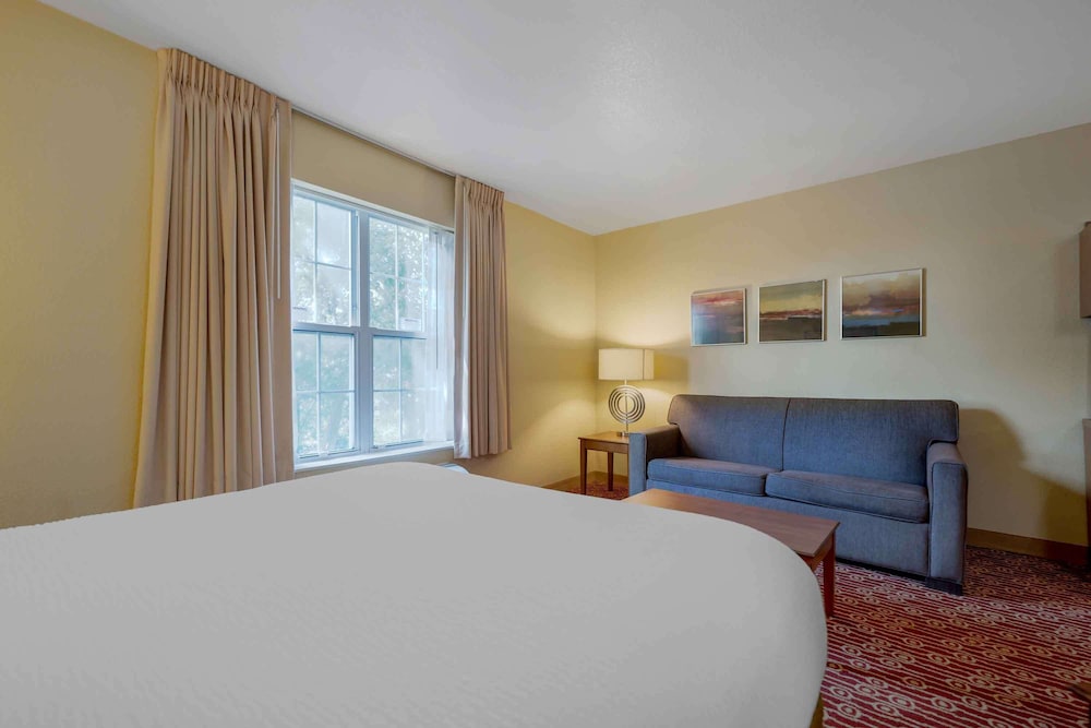 Deluxe Studio, 1 Queen Bed, Non Smoking, Refrigerator & Microwave - Photo 12