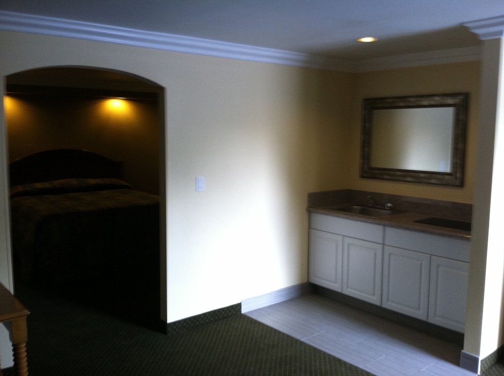 Studio Suite, 1 King Bed (Non-Smoking) - Photo 4