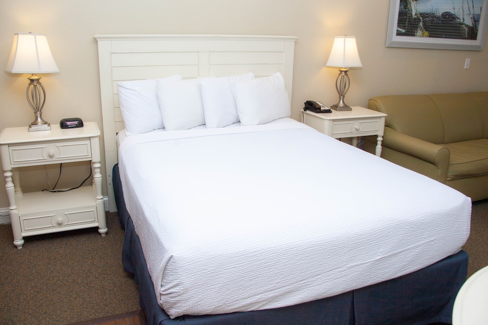 Luxury Studio Suite photo 2