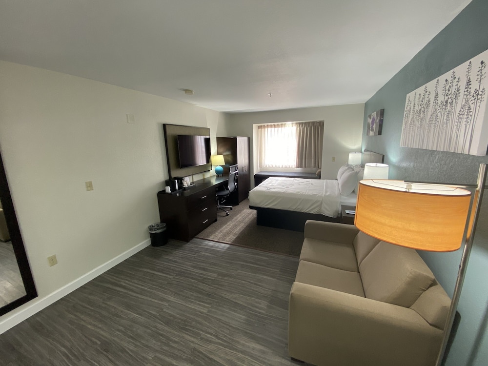 Suite, 1 Queen Bed with Sofa bed, Non Smoking (Efficiency) - Photo 3