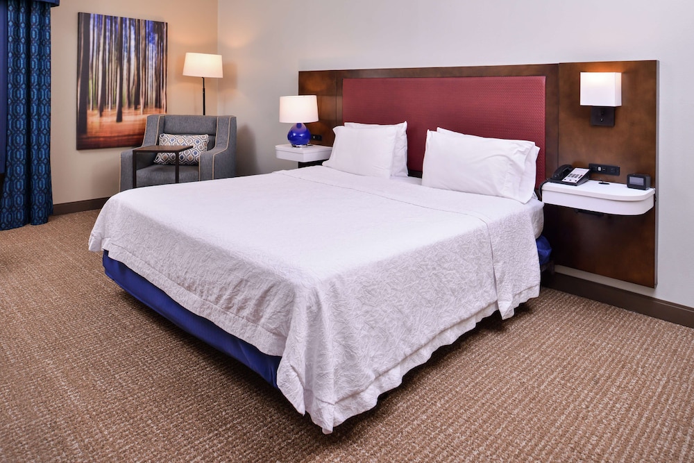 Room, 1 King Bed, Accessible, Bathtub photo 3