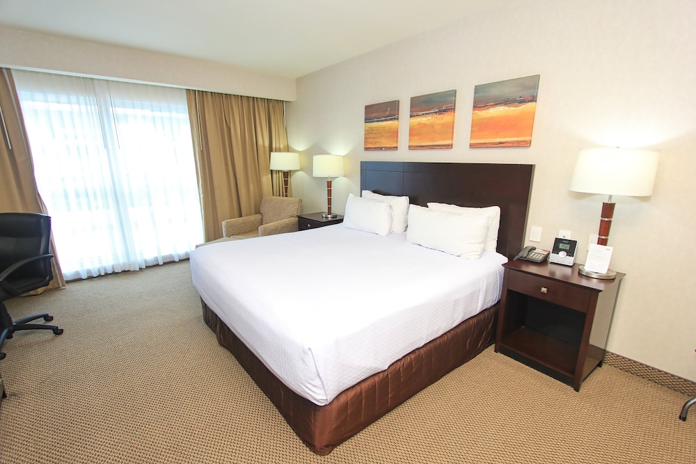 Suite, 1 King Bed - Photo 8
