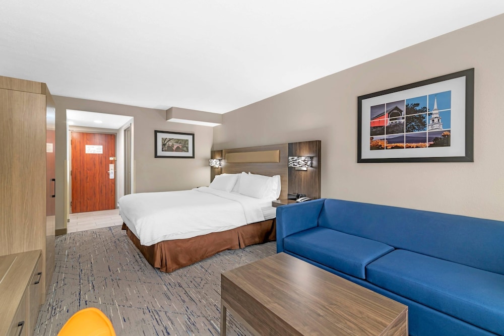 Standard Room, 1 King Bed with Sofa bed, Non Smoking photo 2