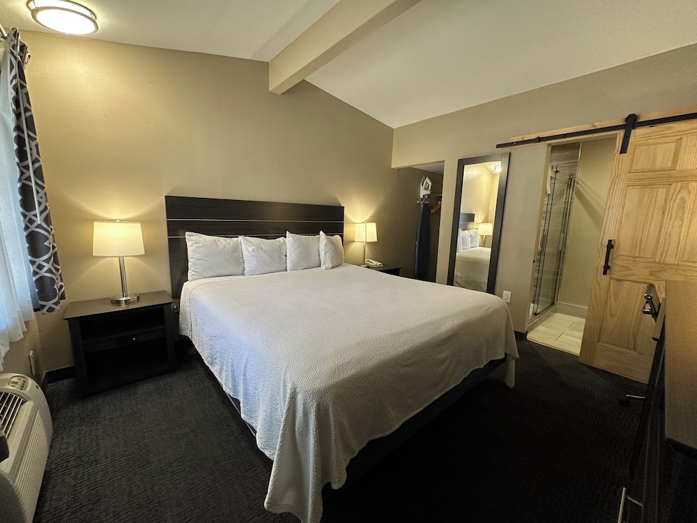 Premium Room, 1 King Bed, Non Smoking
