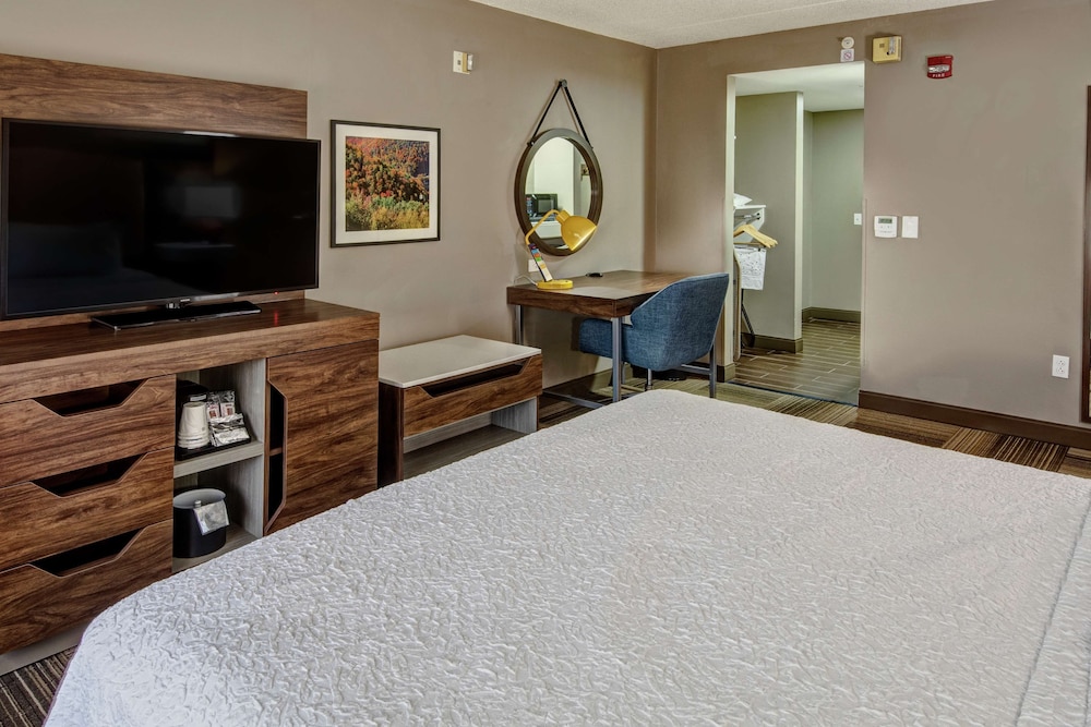 Room, 1 King Bed, Accessible, Bathtub - Photo 1